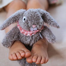 Load image into Gallery viewer, Eloise rabbit - mini