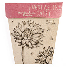 Load image into Gallery viewer, Everlasting Daisy Gift of Seeds