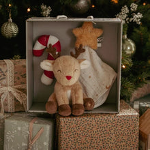 Load image into Gallery viewer, Little Dutch Christmas Newborn Gift Set