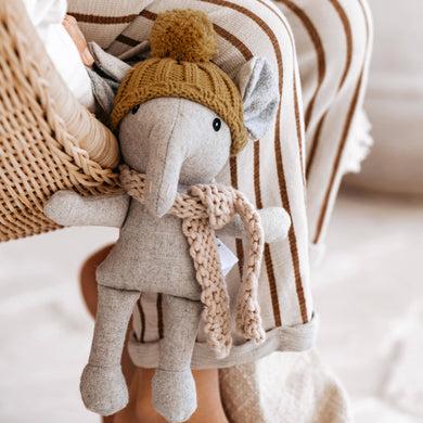 Myrtle elephant