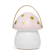 Load image into Gallery viewer, Little Belle Nightlights Fairy Carry Lantern