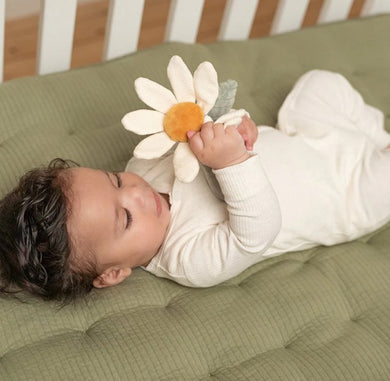 Little Farm Rattle Flower