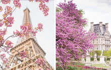 Load image into Gallery viewer, Paris in Bloom Hard Cover  - Georgianna Lane