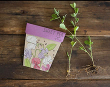 Load image into Gallery viewer, Sweet Pea Gift of Seeds