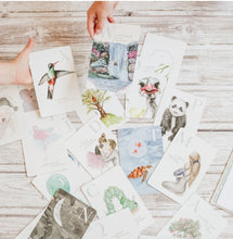 Load image into Gallery viewer, The Amazing ABC Flash Cards