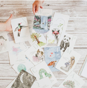 The Amazing ABC Flash Cards