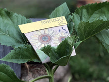 Load image into Gallery viewer, Sunflower Gift of Seeds