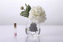 Load image into Gallery viewer, Cote Noire Tear Drop Tea Rose Clear Class - Ivory White